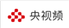 国家公共文化云