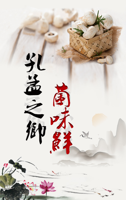 孔孟之乡菌味鲜